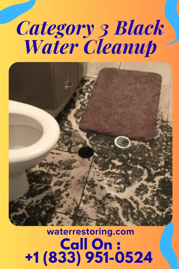 Category 3 Black Water Cleanup in Little Cypress, TX