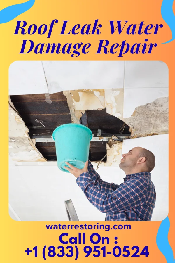 Roof Leak Water Damage Repair in Little Cypress, TX